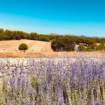 Alloggio per agriturismo Sestelrica